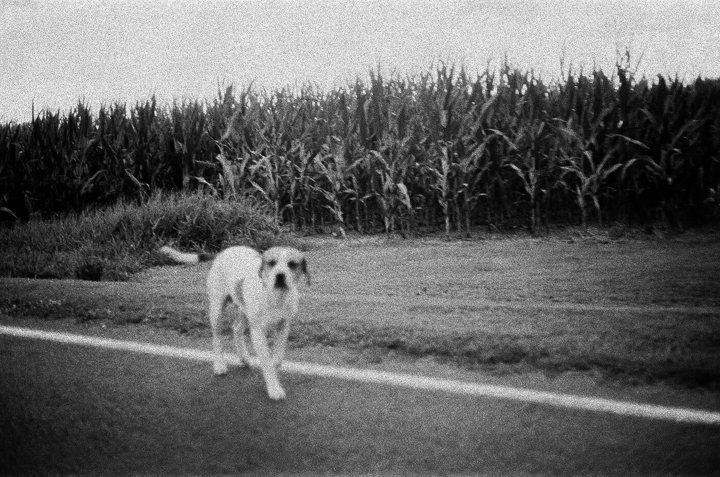 35mm