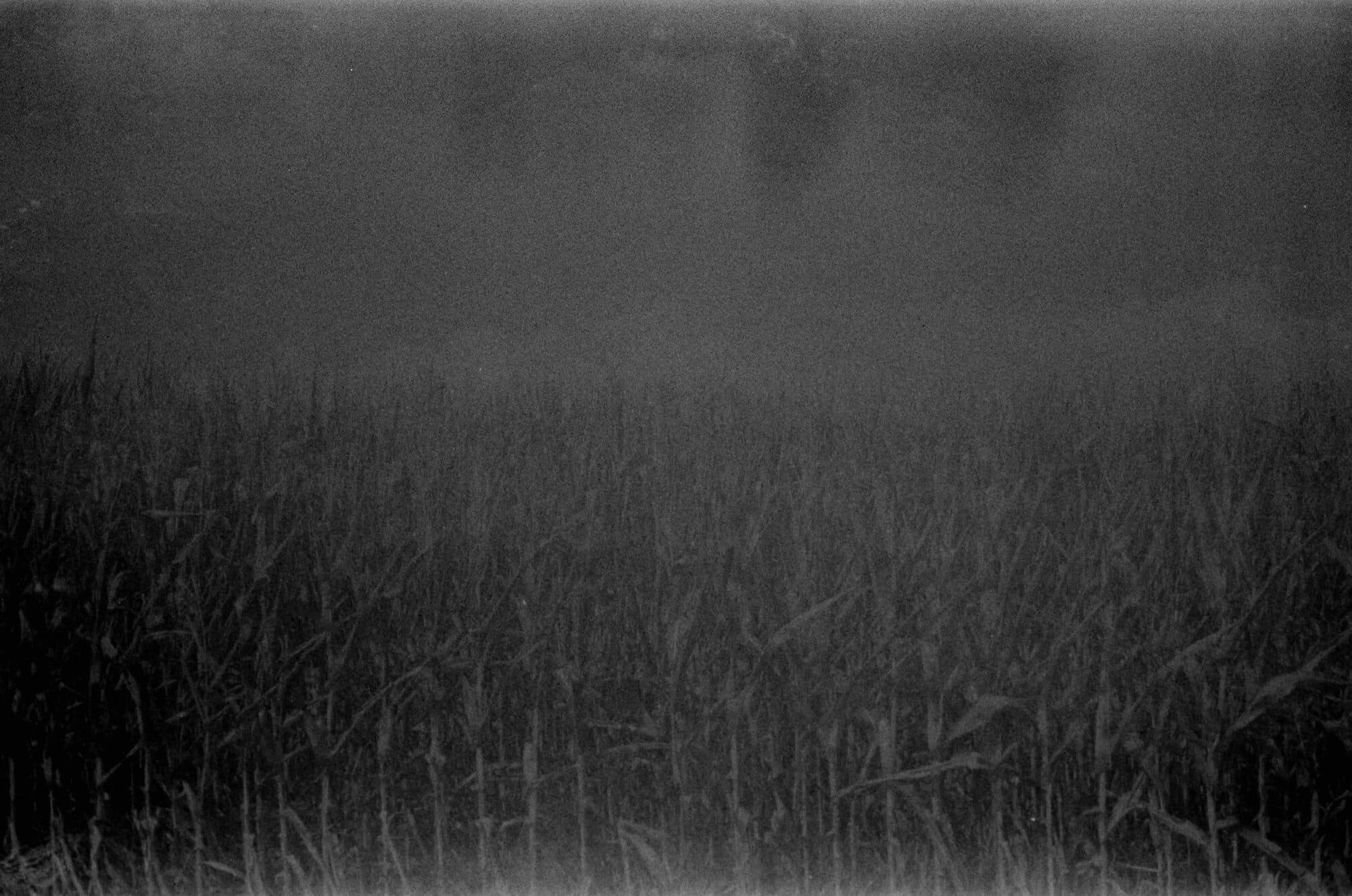 35mm