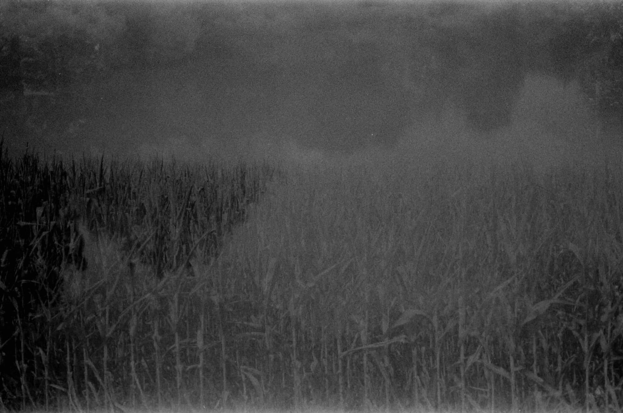35mm