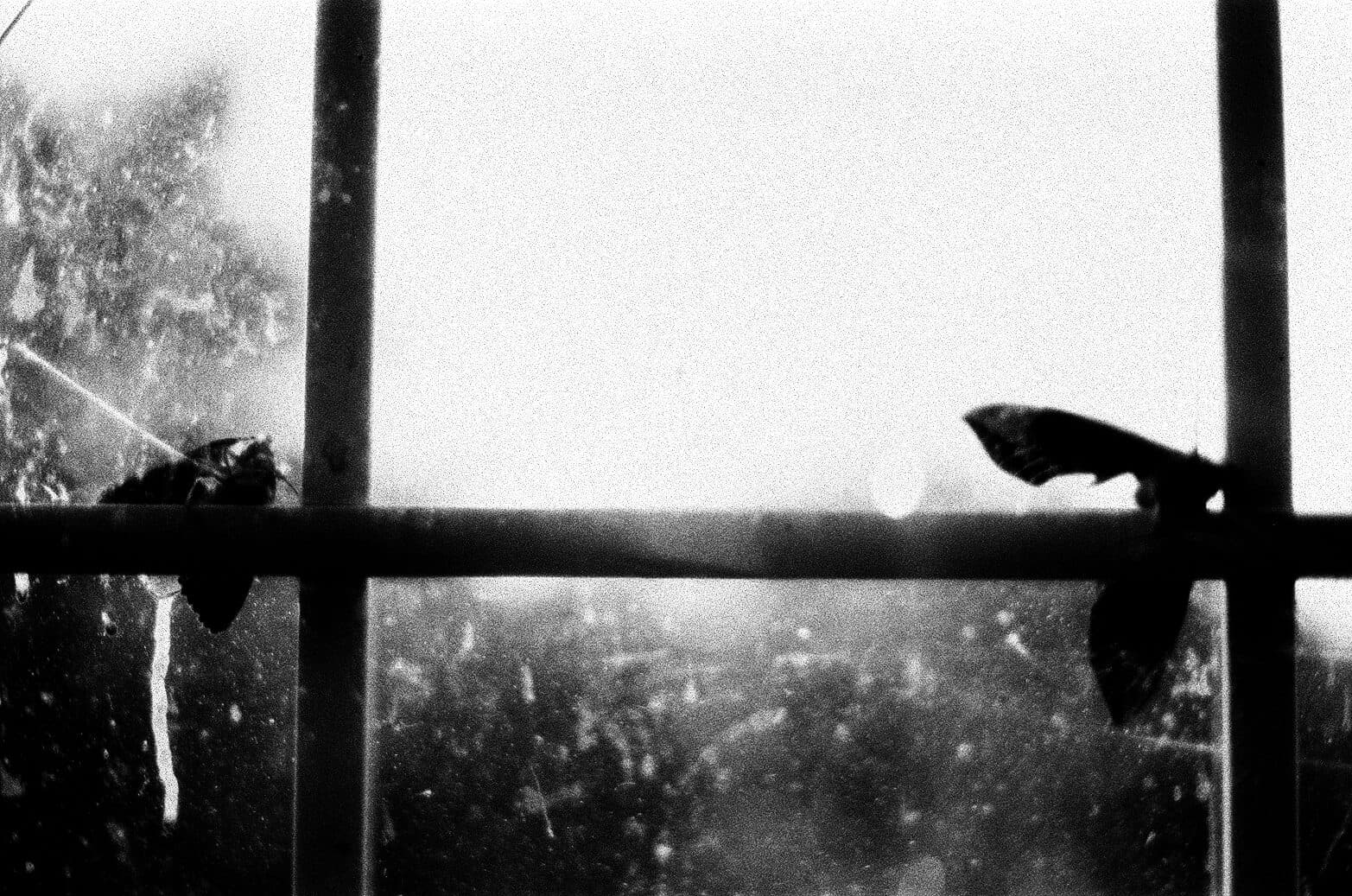 35mm