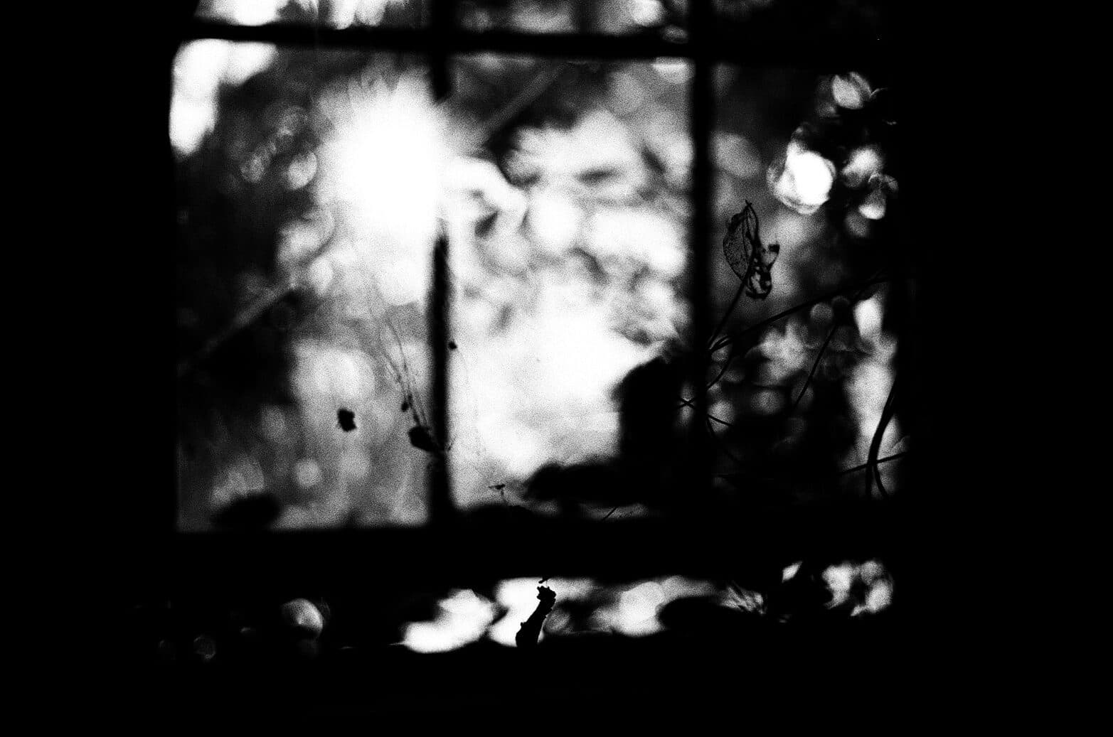 35mm