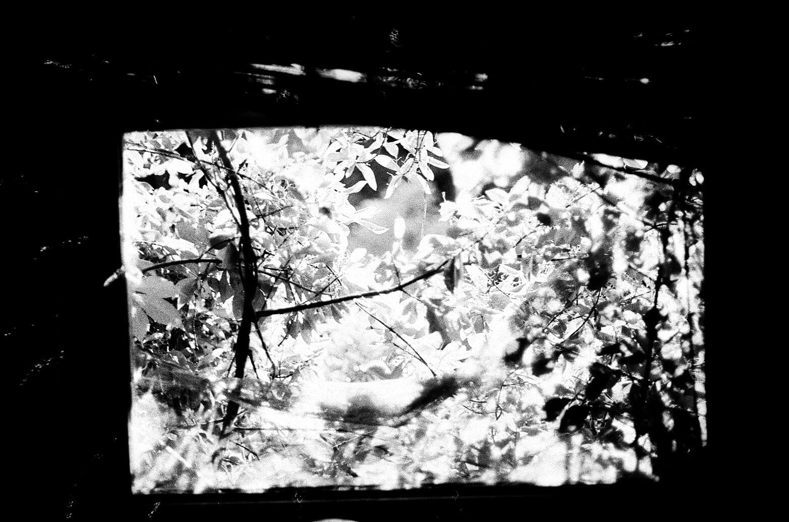 35mm