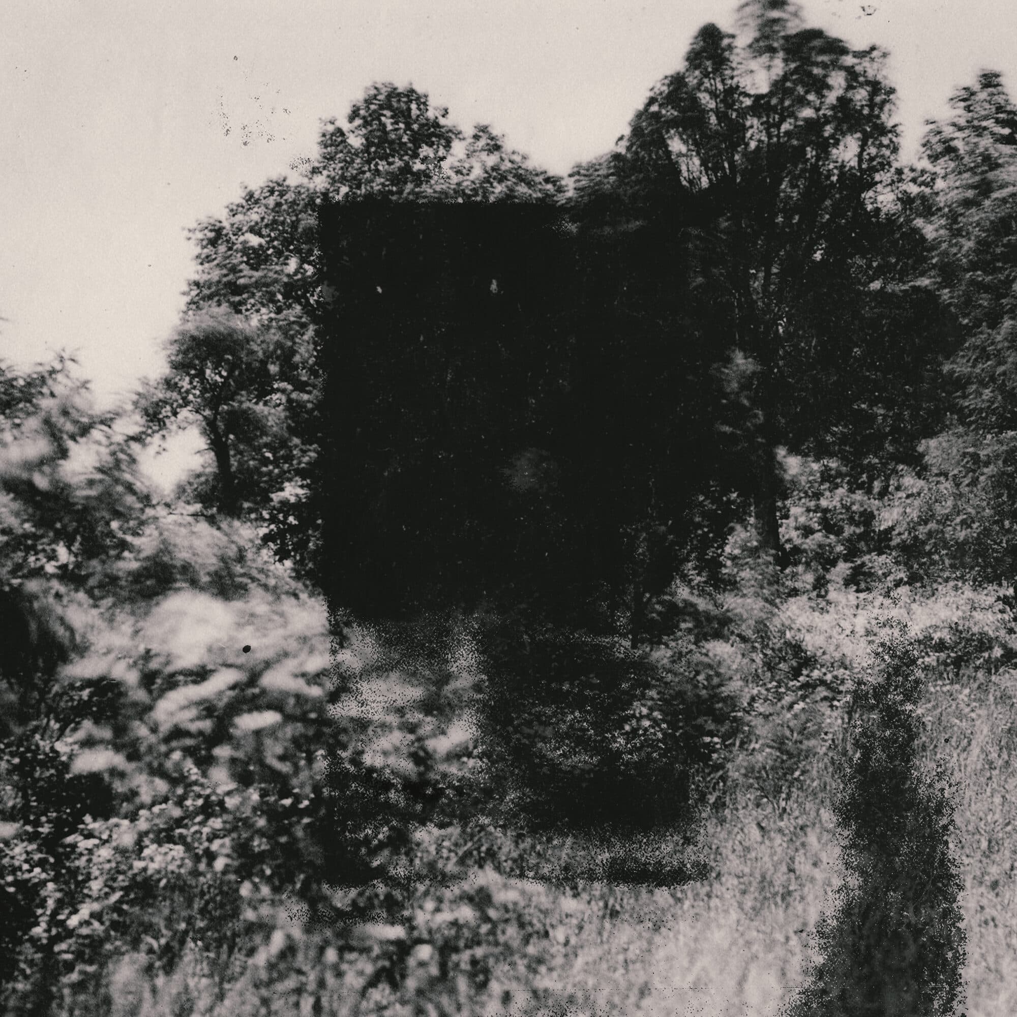 35mm Double Exposure