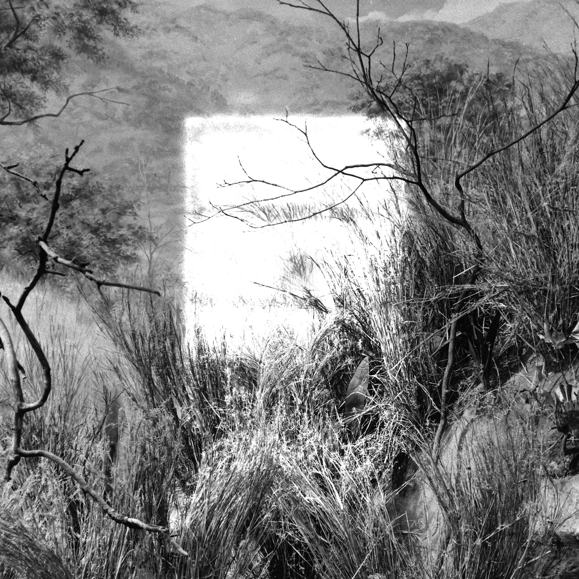 35mm Double Exposure