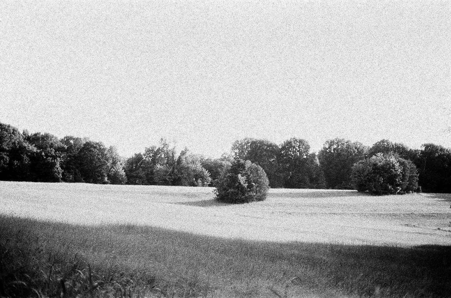 35mm