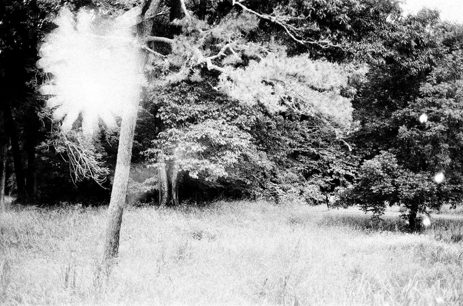 35mm Double Exposure