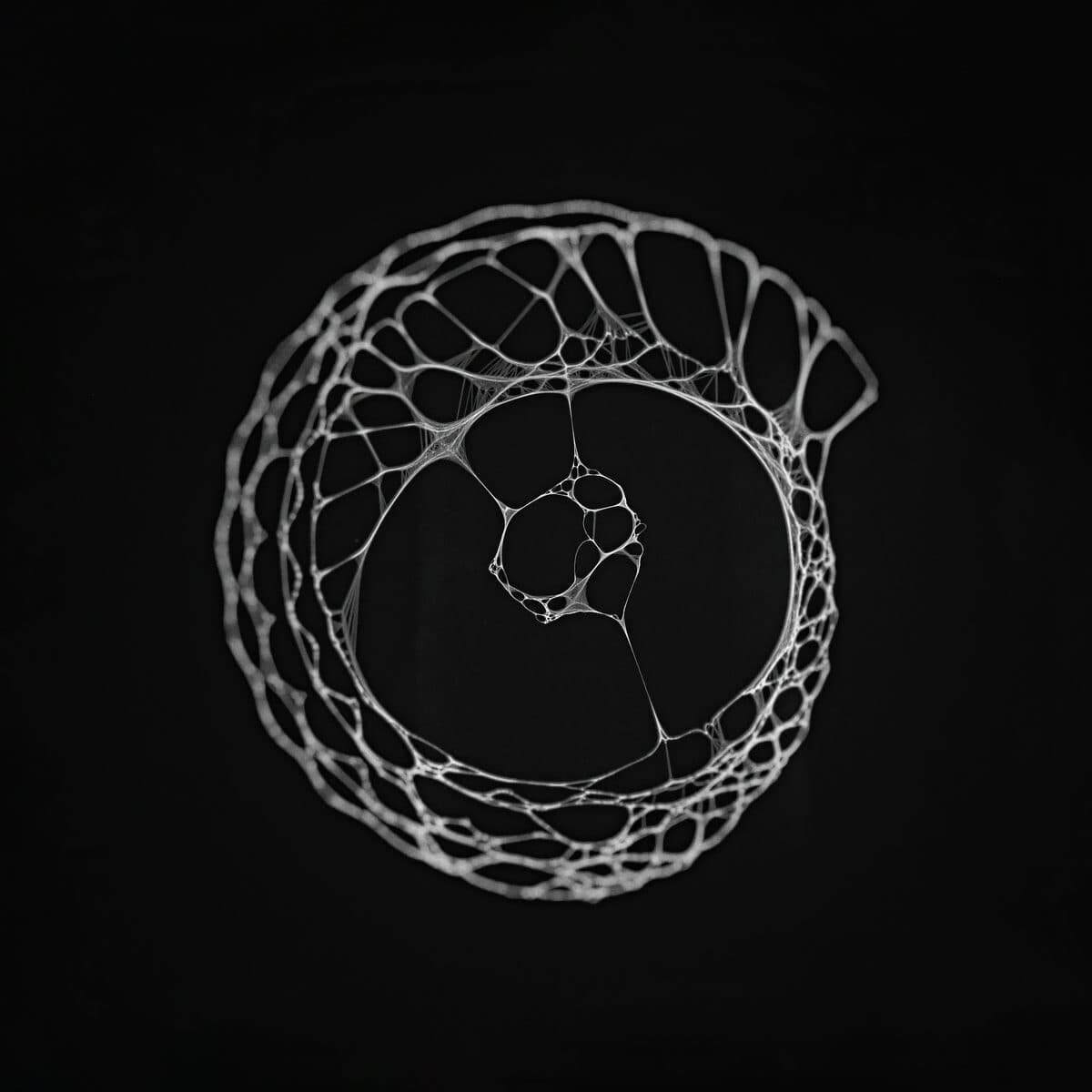 Kaleido